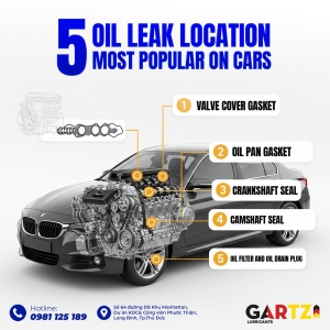 5 Most Common Oil Leak Locations on  Cars That Need to Be Checked Immediately 