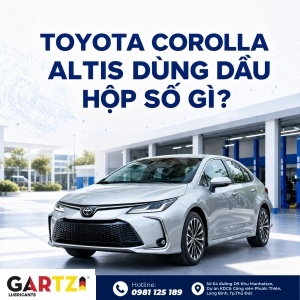 Toyota Corolla dùng dầu hộp số gì? Cách xác định theo đời xe, mã hộp số và chuẩn CVT FE/TC