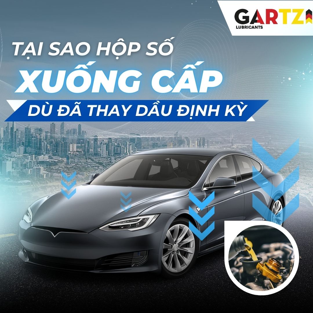 Vì sao hộp số xế yêu xuống cấp nhanh dù vẫn thay dầu định kỳ?