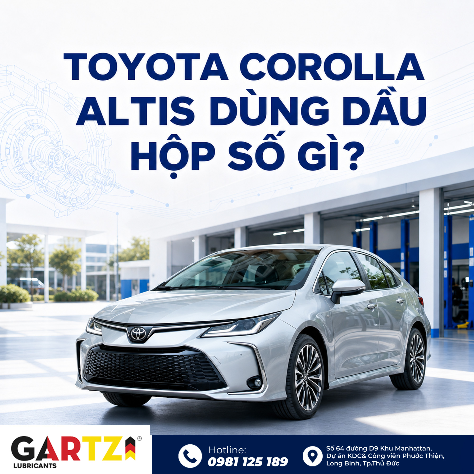 Toyota Corolla dùng dầu hộp số gì? Cách xác định theo đời xe, mã hộp số và chuẩn CVT FE/TC