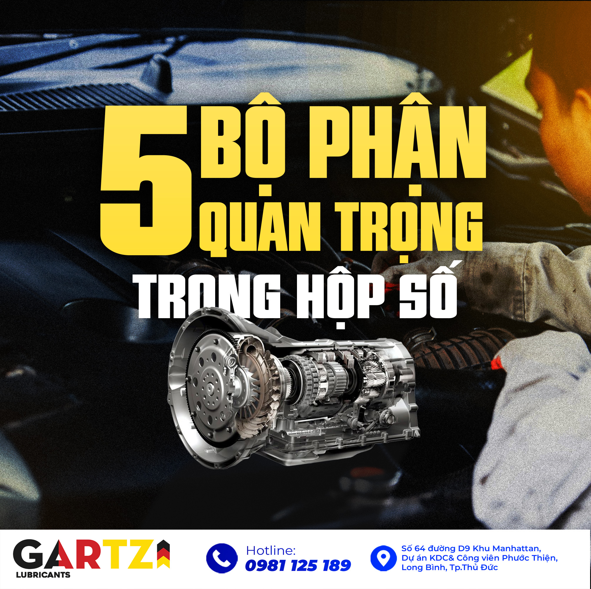 5 Bộ Phận Quan Trọng Trong Hộp Số Là Gì?