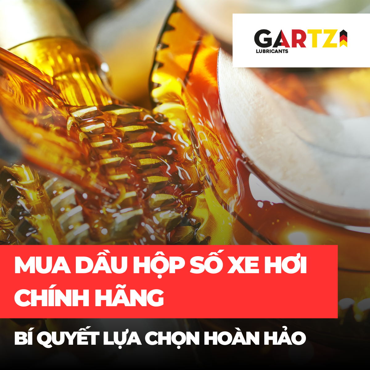 Tìm Mua Dầu Hộp Số Xe Hơi Chính Hãng: Bí Quyết Lựa Chọn Hoàn Hảo