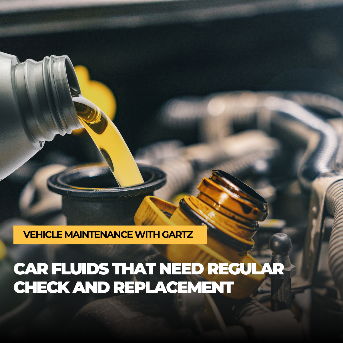 Check Car Fluids Car fluids that need regular check and replacement